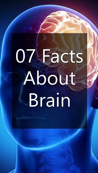 Facts About Brain