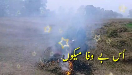 🎶 Latest Punjabi Songs 2024 | New Punjabi Music Releases