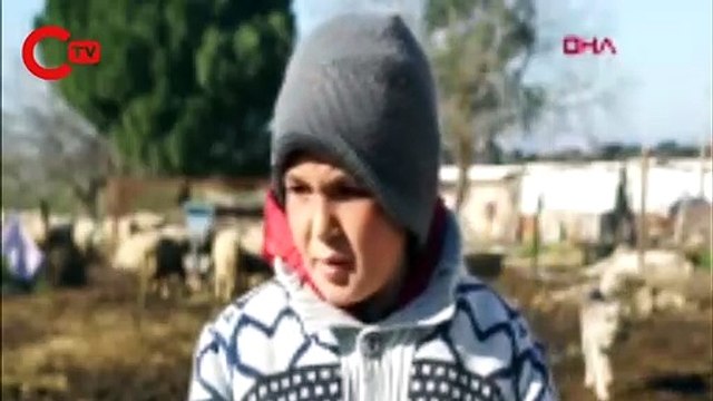 Hem okuyup hem çobanlık yapan Şevki, sosyal medya fenomeni oldu