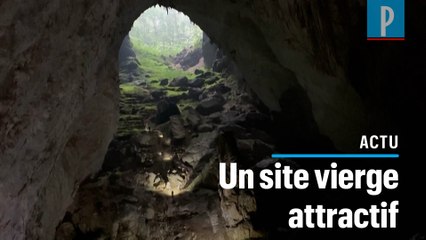 Vietnam : Son Doong, la plus grande grotte du monde menacée