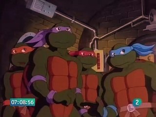 Las Tortugas Ninja - 178. La Ninja Desconocida
