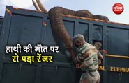 VIDEO: हाथी को अंतिम विदाई देते हुए रो पड़ा रेंजर, सोशल मीडिया पर वीडियो वायरल