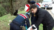 Jandarma ve polis kısıtlamada sokak hayvanlarını unutmadı
