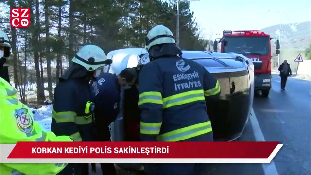 Kaza yapan araçta korkan kediyi polis sakinleştirdi