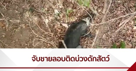 จับชายลอบติดบ่วงดักสัตว์ ใน อช.ทับลาน