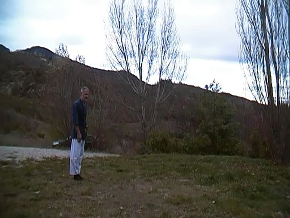 TNH1
