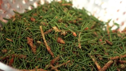 Ανθρακούχο νερό με γεύση Χριστουγέννων