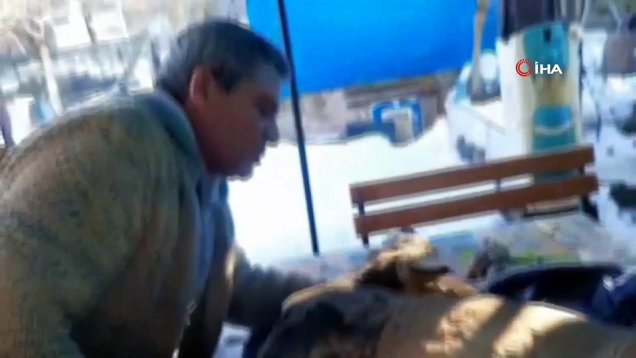 Yaralı karacayı hayata döndürmek için suni teneffüs yaptı