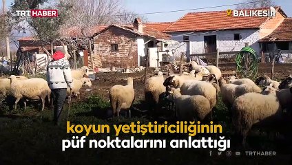 Çoban Şevki sosyal medyada viral oldu