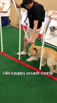 Puppy Grows Up With Human Brothers