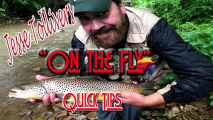 How to Fish Trout Streams