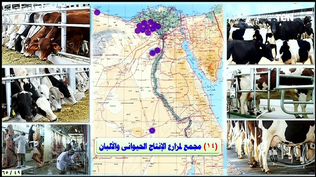السيسي يفتتح مشروع الفيروز للاستزراع السمكي ببورسعيد وعدد من المشروعات القومية "تغطية كاملة ج2"