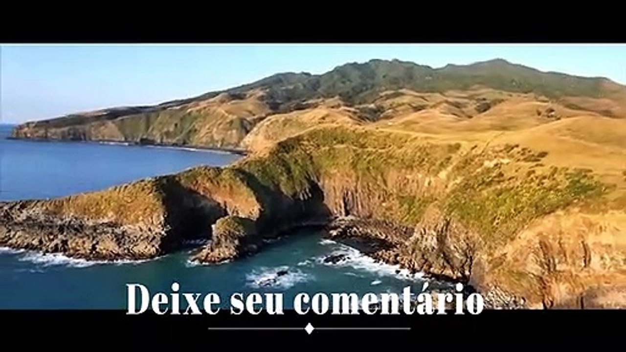 Peneira x Esponja