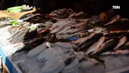 جولة كاميرا TeN داخل سوق السمك الجديد ببورسعيد