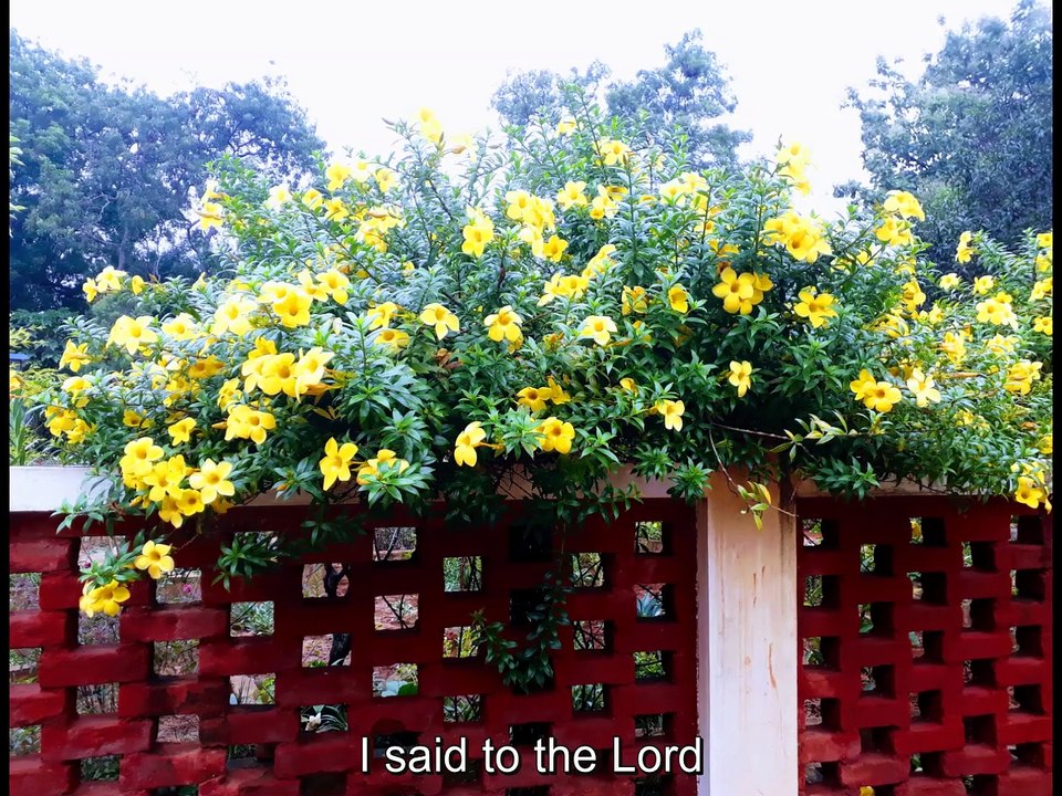 Psalm 16 Hymn #PsalmHymns #ChristianMusic