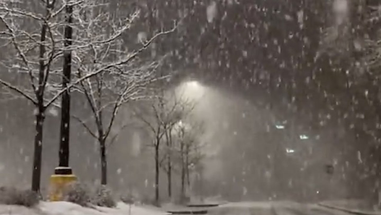 A true winter wonderland