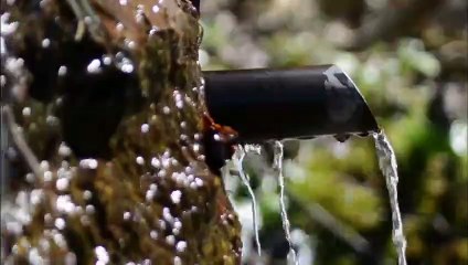 world's most expensive uncut diamonds