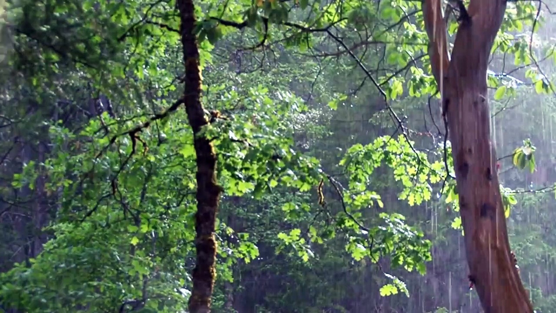 ⁣#Soothing music with #rain sounds--#relaxing #piano-music-❤️-#calming#Peaceful #Spiritual music #sle