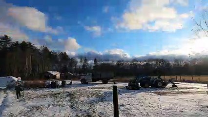 Why is Bernie sitting outside my cabin?