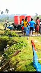 Collecting Baby Fish