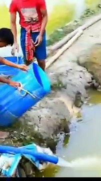 Mixing Baby Fish In Pond