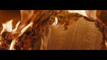 El profesor de persa Película