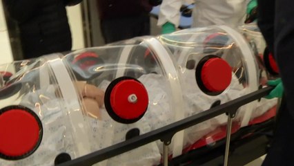 신규 확진자 392명..."향후 큰 변수는 변이 바이러스" / YTN