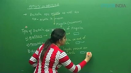 Biological Clasification by sb mam_2 Biological classification sb mam part 4