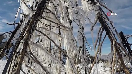 Profesörden buz gibi sanat