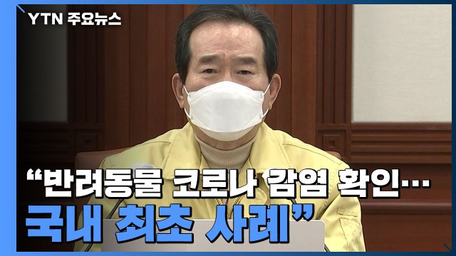 정 총리 반려동물 코로나19 감염 확인...국내 최초 사례 (중대본 회의 모두발언) / YTN