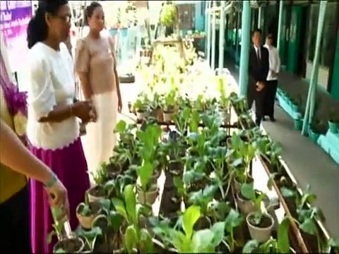 ข่าวในพระราชสำนัก วันจันทร์ที่ 25 มกราคม 2559 (ช่อง NBT)