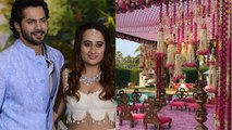 Varun Dhawan Natasha Dalal WEDDING MANDAP DECORATION; VIDEO VIRAL | Boldsky