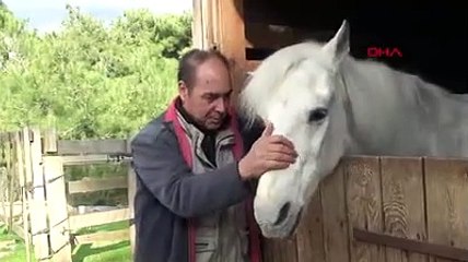 Atlarla yaşıyor atların renkli yaşamlarını yazıyor