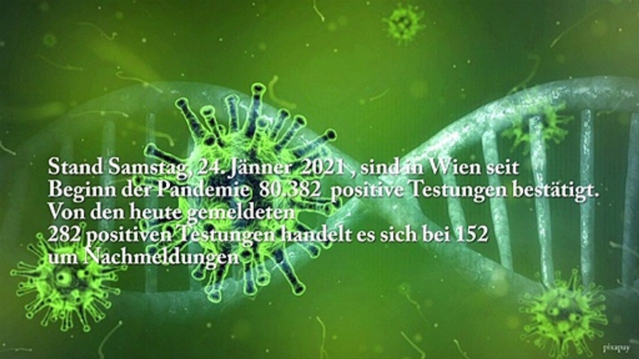 Wien | Corona Kennzahlen | 24. Jänner 2021