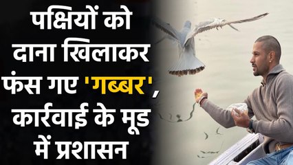 Shikhar Dhawan gets in trouble after feeding birds in varanasi | वनइंडिया हिंदी