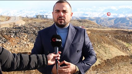 Uludere'de nesli tükenmekte olan 'Arap tavşanı' görüntülendi