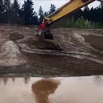 Une pelleteuse sauve un faon