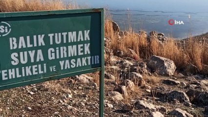 Gercüş'te soğuk havalar nedeni ile gölet buz tuttu