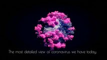 Inquietud en la comunidad científica por las nuevas variantes del coronavirus