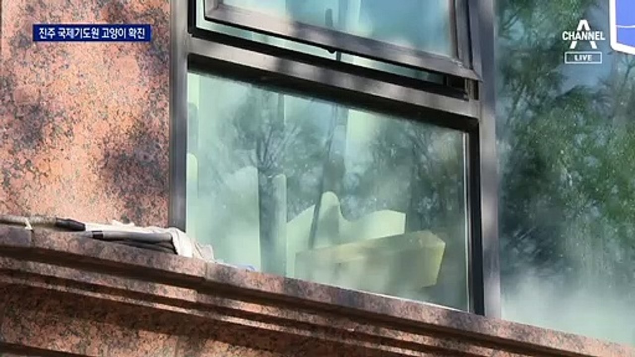 고양이도 확진…국내 첫 반려동물 코로나 감염