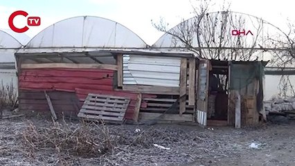 Kümesine giren tilkiye seslenişi sosyal medyada büyük ilgi gördü