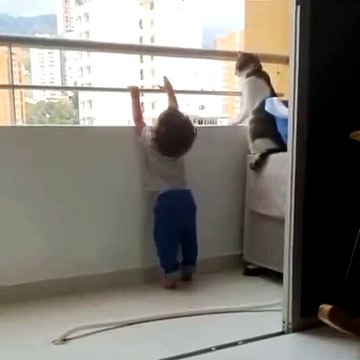 Un chat empêche un enfant d'escalader le balcon
