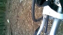 Mota no mato