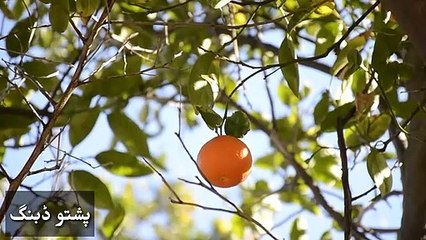 White palace _ (سفید محل) _ Swat Valley KPK Pakistan .__HIGH