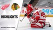 NHL Highlights | Red Wings @ Blackhawks 1/24/21