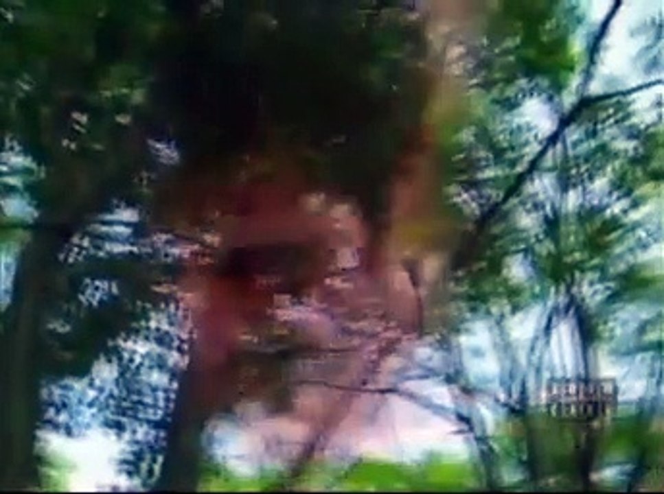 Paradise Falls - The Body episode 5