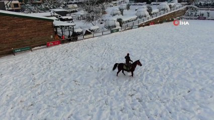 Atlar Karda Çocuklar Gibi Eğlendi