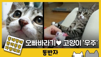 [동반자] "우주야" 부르면 '응~왜!' 오빠 말에만 대답하는 고양이 / YTN
