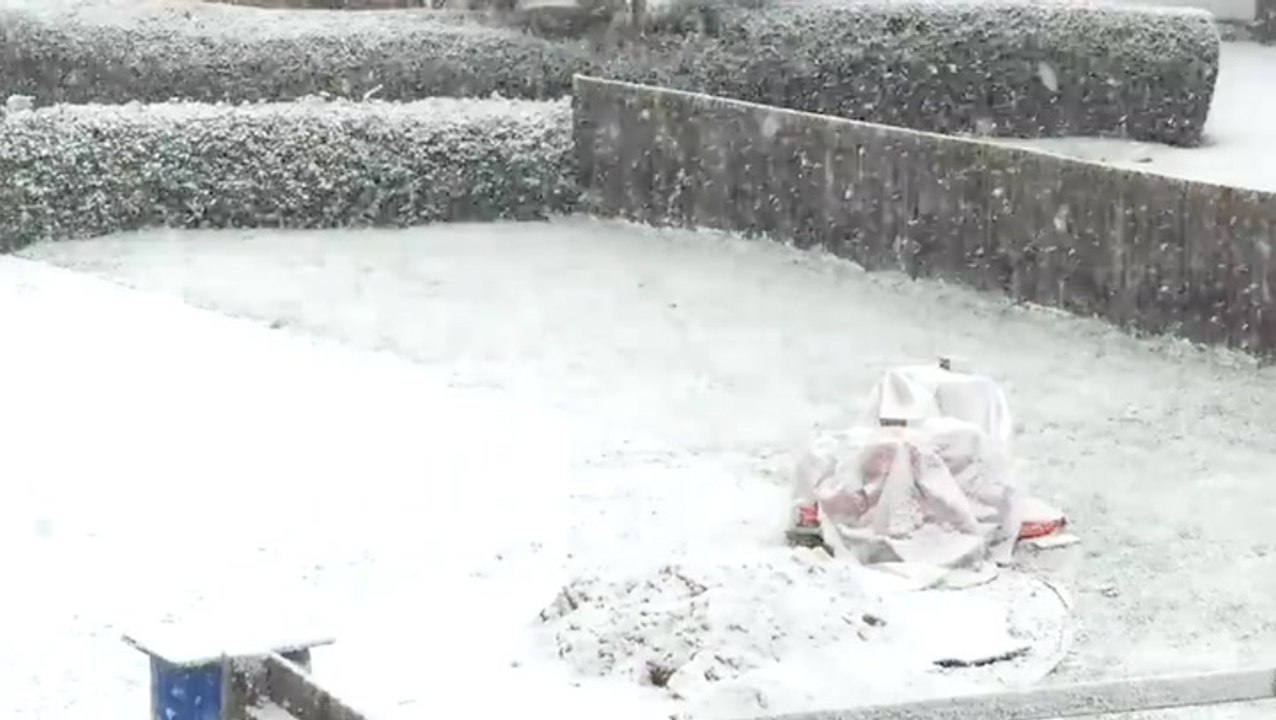 From green to white in a flash