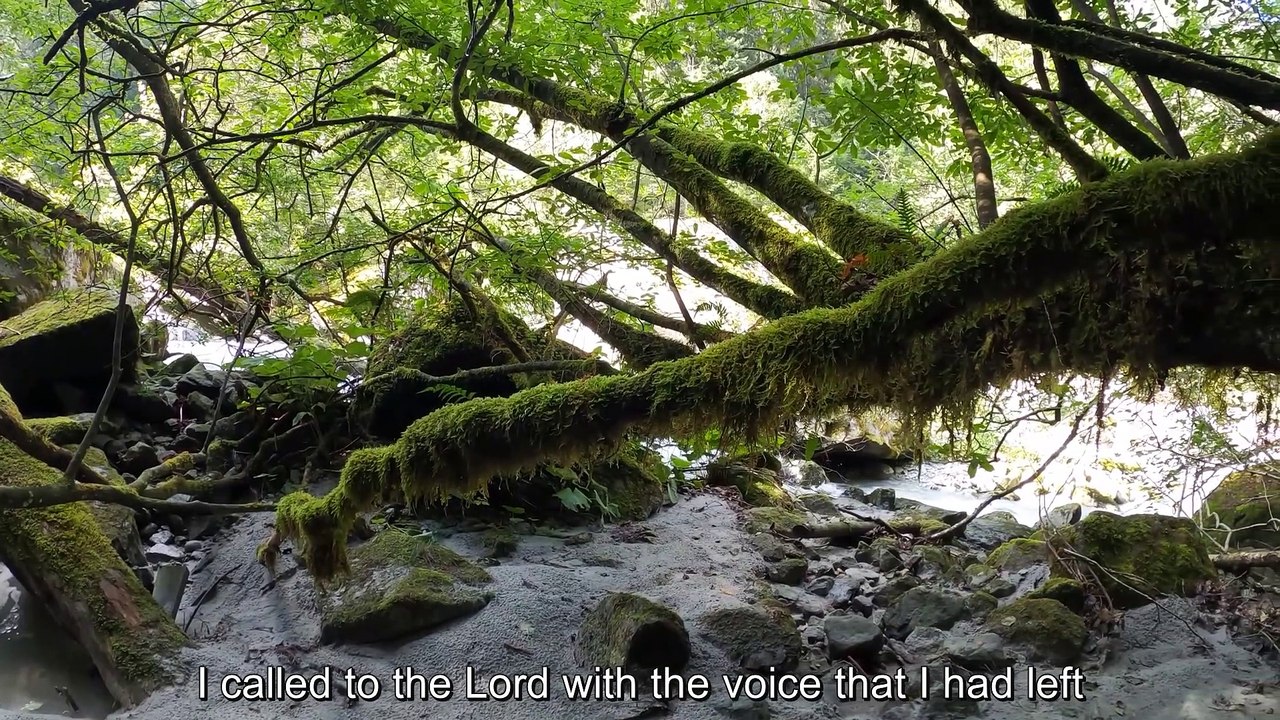 Psalm 18 Hymn #PsalmHymns #ChristianMusic